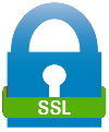 SSL connection standard